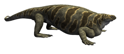 6934453 orig.png