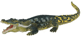 Deinosuchas Carnegie.gif