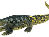 Deinosuchus