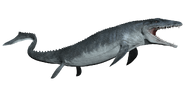 Mosasaurus