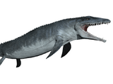 Mosasaurus