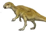 Oryctodromeus