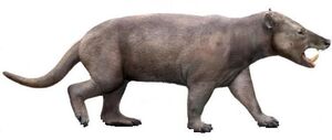 Arctocyon.jpg