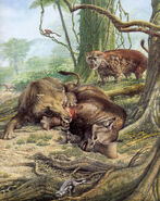 Andrewsarchus2