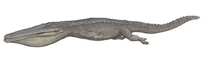 Stomatosuchus