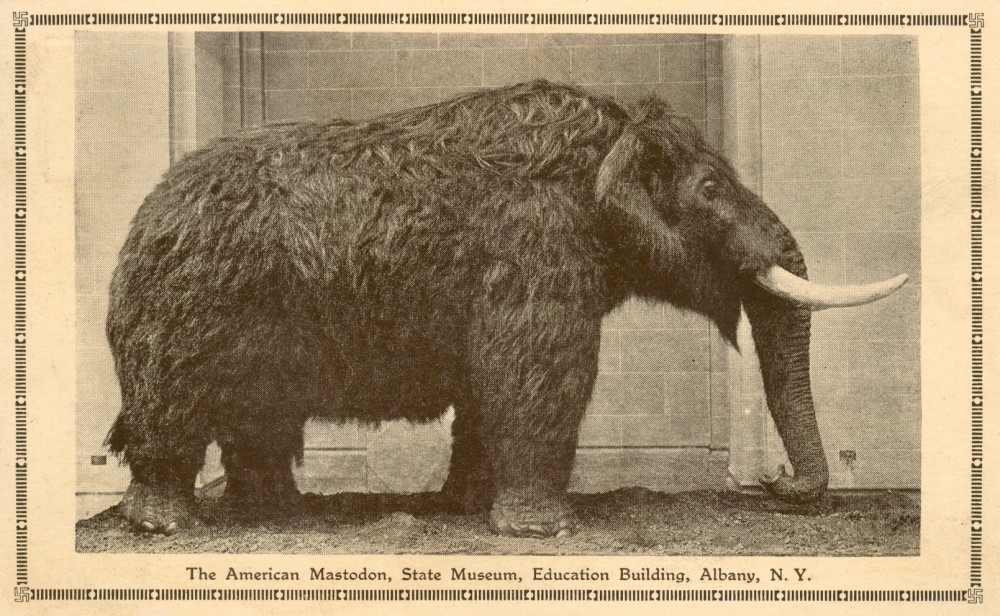 American Mastodon | Dinosaur Wiki | Fandom American Mastodon | Dinosaur Wiki | Fandom