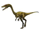 Coelophysis