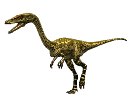 Coelophysis Dinosaur Wiki Fandom