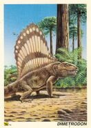 Dimetrodon-card