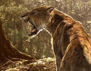 Smilodon