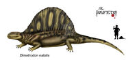 Dimetrodon natalis.