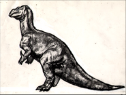 Iguanodon-sketch