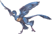 Microraptor gui.gif
