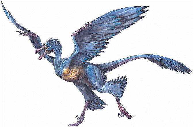 microraptor