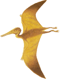 Pterodactylus2.gif