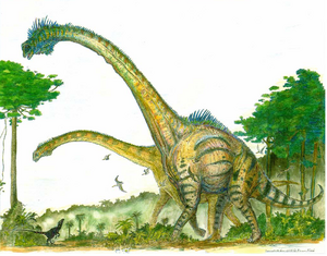Sauroposeidon.png