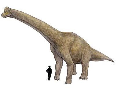 Sauroposeidon.jpg