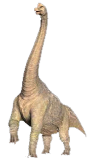 Baylene.png