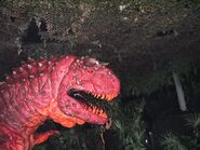 Carnotaurus at DAK1