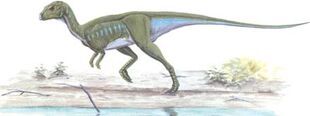 Orodromeus.jpg