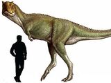 Xenotarsosaurus