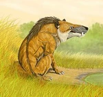 260px-Andrewsarchus DB.jpg (16 kB) Recreación artística de Andrewsarchus