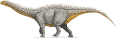 Barapasaurus.png