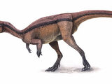 Agilisaurus