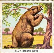 Ground-sloth-700x683