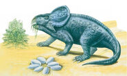 Protoceratops 2