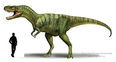 Albertosaurus.jpg