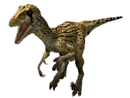 Utahraptor Dinosaur Wiki Fandom