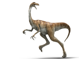 Gallimimus