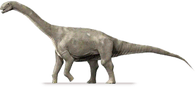 Jobaria.png
