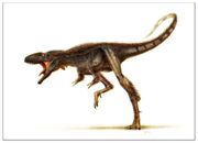 Raptorex color1a web b864.jpg