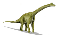 Art reconstruction of Brachiosaurus altithorax