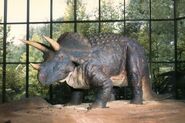Pink-Palace-Triceratops-700x466