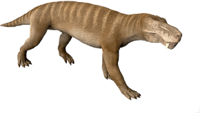986143 orig.png