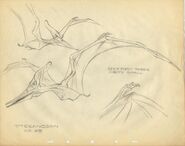 Drawing of Pteranodon