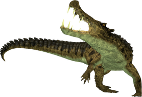 2579196 orig.png