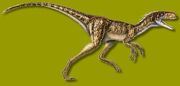 Eotyrannus