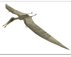 763624 orig.png