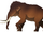 Pygmy Mammoth