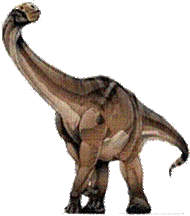 JPI Cetiosaurus