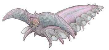 Pambdelurion.jpg