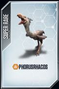 Phorusrhacos card