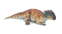 3814421 orig.png