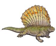 Edaphosaurus colohistion