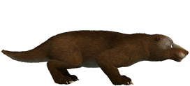 Fruitafossor.png