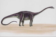 Diplodocus051